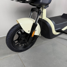 Електровелосипед EVOBIKE Atlas Pro Milk White (800W 60V 20Ah) для дорослих людей з сидінням для пасажира, Фото - 5