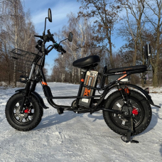 Електровелосипед  KUGOO Kirin V3 PRO Off-road на зимовій шипованій гумі, Фото - 1