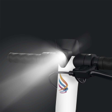 Электросамокат GIANT Wings PRO 2 500W 13AH 9.25″ Белый NEW (до 25 км/час), Фото - 4
