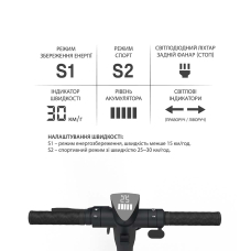 Электросамокат GIANT Wings PRO 2 500W 13AH 9.25″ Черный NEW  (до 25 км/час), Фото - 2